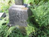 image of grave number 739631